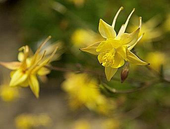 卡牌战斗类肉鸽策略游戏《方块公国》现已推出试玩Demo 2025年5月5日发售